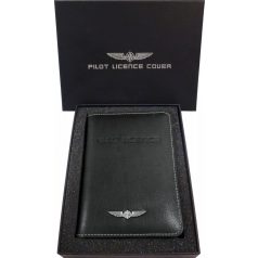 Pilóta engedély tartó (EASA)  