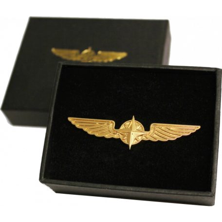 Pilot Wings 5cm.